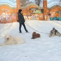Клуб юных собаководов Старт Фото 2 на проекте Penza.vetspravka.ru Клуб юных собаководов Старт Фото 2 на проекте Penza.vetspravka.ru
